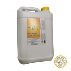 VIF ECLAT ARGENTERIE, 5 litres